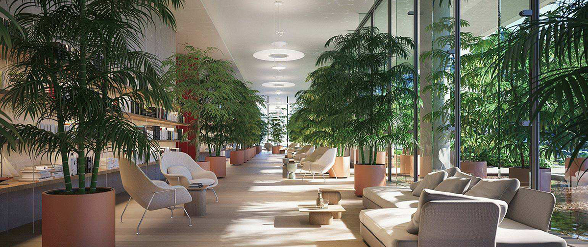 盘点福田区男士高端桑拿,按摩减压服务太好玩了